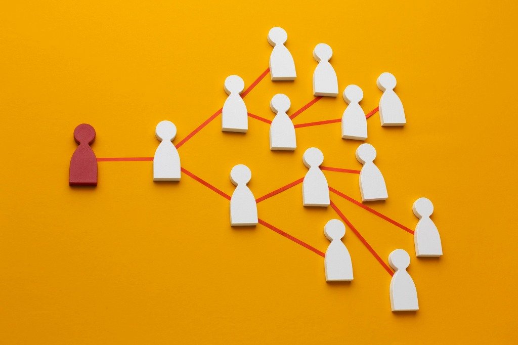 Network visualization of SEO impact